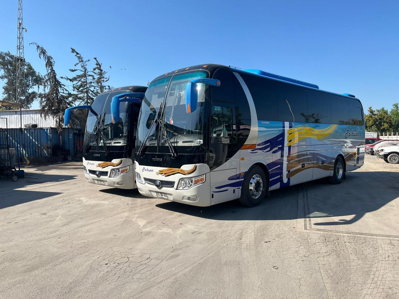 buses.0001